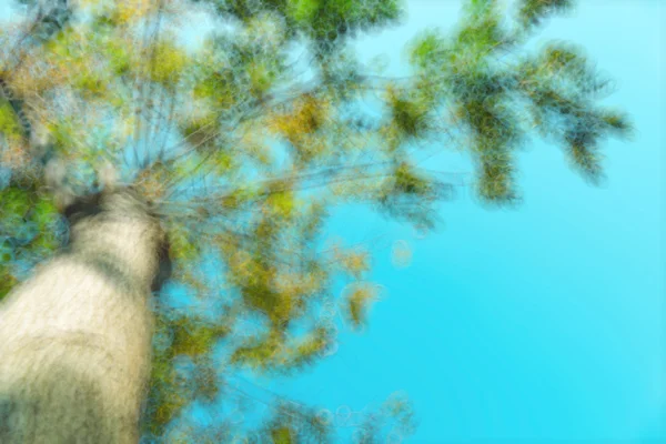 Abstrakte natürliche Unschärfe Hintergrund, defokussierte Blätter, Bokeh — Stockfoto