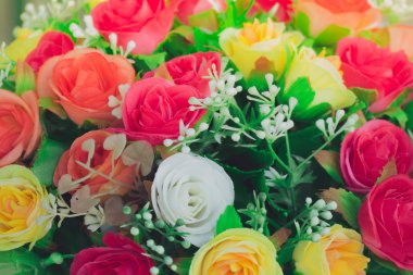 Renkli çiçeklerin arkaplan resmi