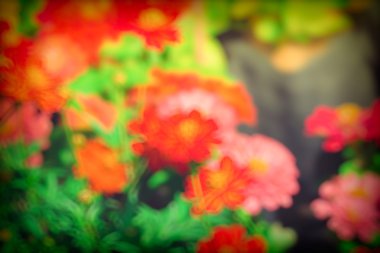 soyut doğal görüntü arka plan, ufuk yaprakları, bokeh