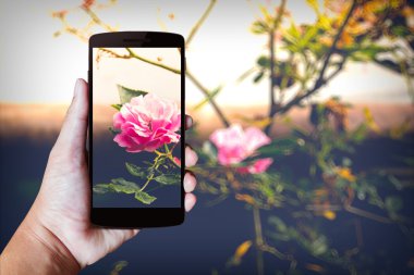 Modern cep telefonu elinde..