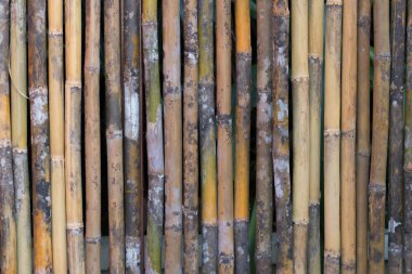 Doğal desenli ahşap doku