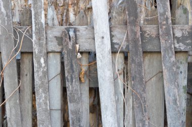 Doğal desenli ahşap doku