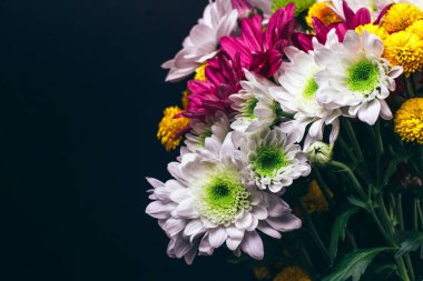 Siyah arka planda renkli asterlerden bir buket