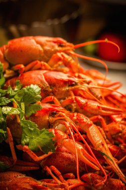 haşlanmış ıstakoz