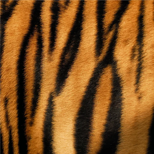 Die Fellfarbe des Tigers — Stockvektor