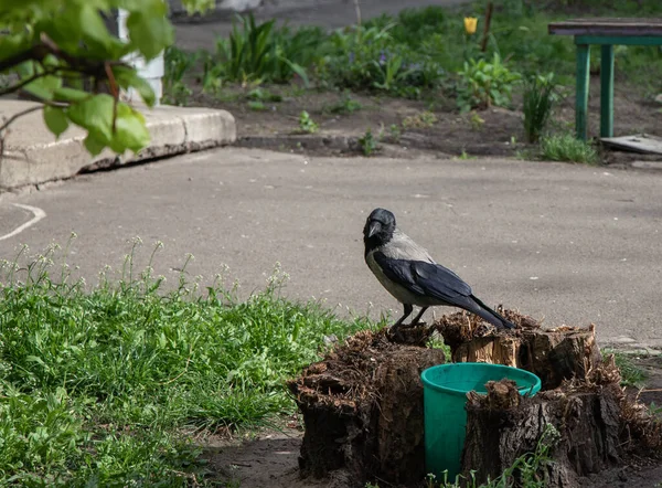 Çöp kutusunun olağanüstü konumu