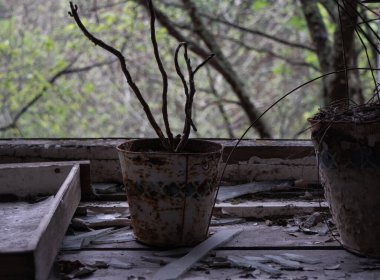 Pripyat şehrinin terk edilmiş pencere pervazında ölü bir saksı.