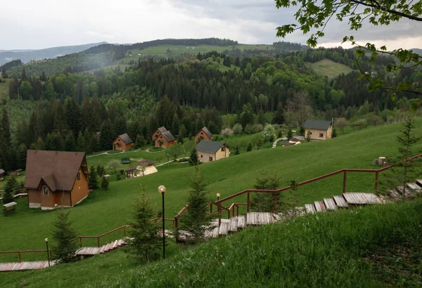 Letni Piękny Krajobraz Karpatach — Zdjęcie stockowe