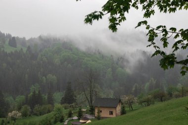 Karpat Dağları 'nın güzel yaz manzarası