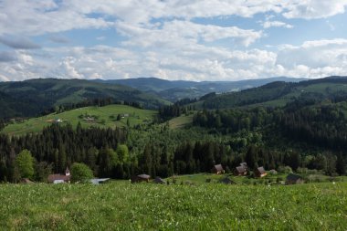 Karpat Dağları 'nın güzel yaz manzarası