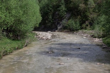 Dağ nehri ile yaz manzarası