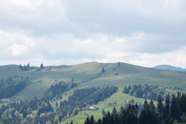 Karpatya dağlarında yaz güneşli manzaralar