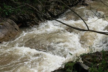 Hızlı bir dağ nehrinin akışı