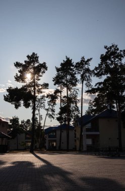 Kavurucu güneşin altında ev ve ağaçların siluetleri