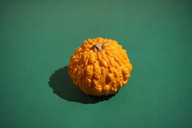 Parlak yeşil bir yüzey üzerinde küçük bir portakal kabağı