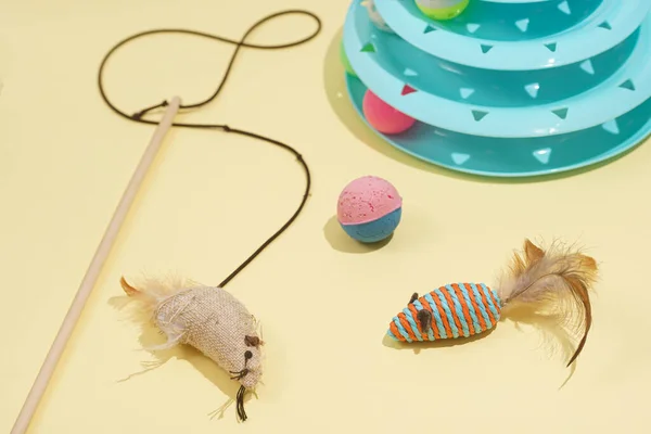 Toys for domesticated animals, cats and kittens multi-colored mouse, mouse on a strap, two-colored bright ball, blue pyramid