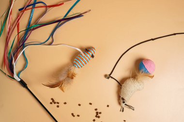 Evcil hayvanlar, kediler ve kediler için oyuncaklar çok renkli fare, kayışlı bir fare, iki renkli parlak top