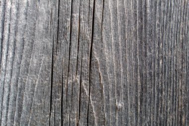 Yanmış gri kalas dokusu