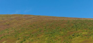 Borzhava Vadisi 'ndeki Karpatlar' ın berrak mavi gökyüzü ve uzak ufuktaki manzarası sonbaharın erken zamanlarındaki sakin güzelliği yakalıyor.