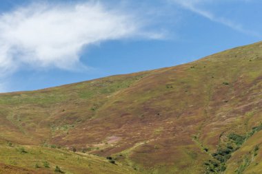 Borzhava Vadisi 'ndeki Karpatlar' ın berrak mavi gökyüzü ve uzak ufuktaki manzarası sonbaharın erken zamanlarındaki sakin güzelliği yakalıyor.