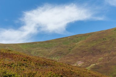 Borzhava Vadisi 'ndeki Karpatlar' ın berrak mavi gökyüzü ve uzak ufuktaki manzarası sonbaharın erken zamanlarındaki sakin güzelliği yakalıyor.