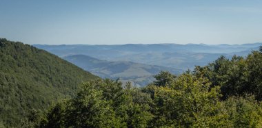  Sonbaharın başında Borzhava Vadisi 'ndeki Karpatlar' ın manzarası, uzak bir ufuk ve canlı bir kayın ormanı barındırıyor.