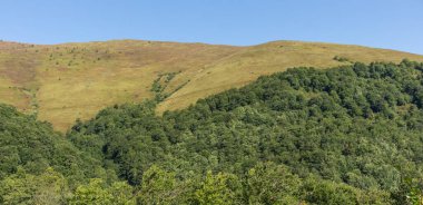  Sonbaharın başında Borzhava Vadisi 'ndeki Karpatlar' ın manzarası, uzak bir ufuk ve canlı bir kayın ormanı barındırıyor.