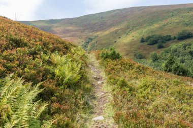 Karpatlar 'daki Borzhava Vadisi' nin dolambaçlı dağ yolu, yemyeşil yamaçlar ve berrak gökyüzünün altındaki güneşli tepeler manzarası.