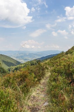 Karpatlar 'daki Borzhava Vadisi' nin dolambaçlı dağ yolu, yemyeşil yamaçlar ve berrak gökyüzünün altındaki güneşli tepeler manzarası.
