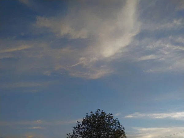 Árbol Fondo Del Cielo Atardecer Una Pequeña Luna Cielo —  Fotos de Stock