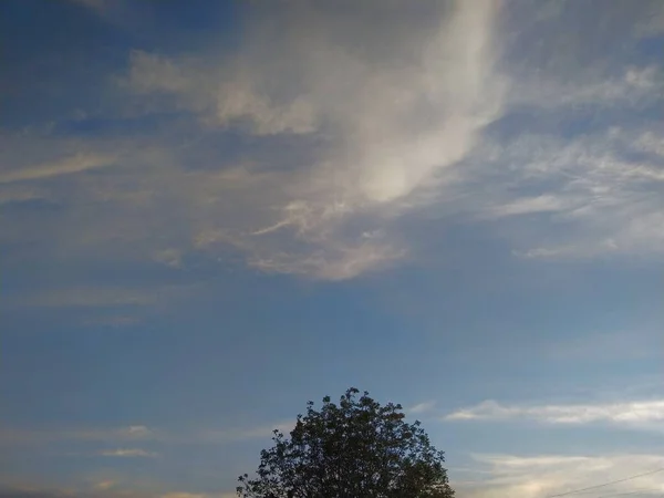 日没の空の背景にある木と空の小さな月 — ストック写真