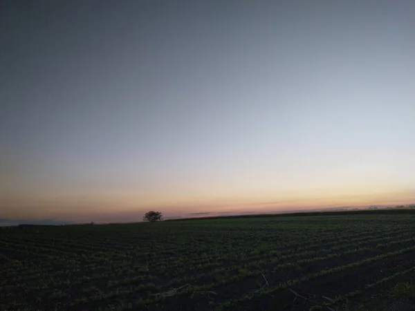 Sonnenuntergang Über Dem Feld — Stockfoto