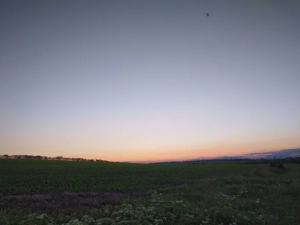 Amanecer Sobre Campo — Foto de Stock