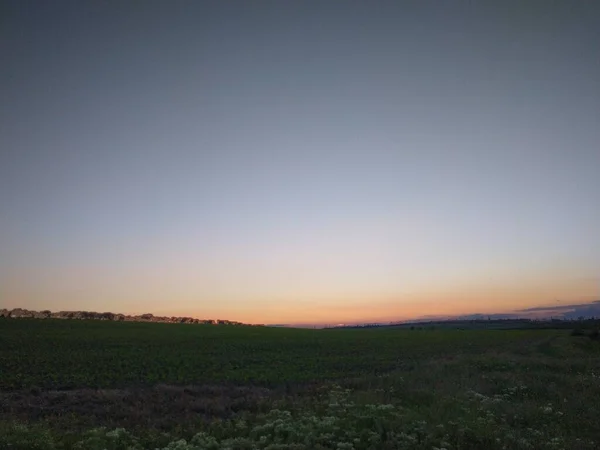 Sonnenaufgang Über Dem Feld — Stockfoto