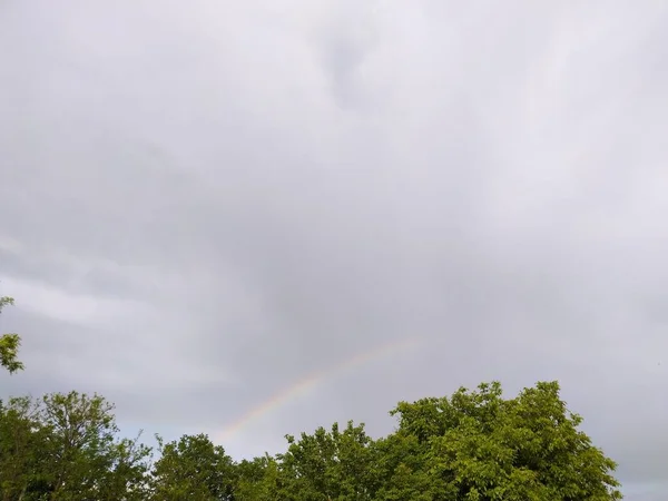 Regenbogen Über Dem Wald — Stockfoto