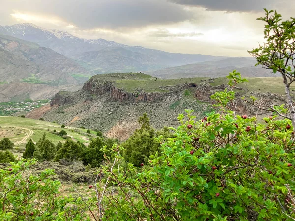 Mountain Road Landscape Vernashen Shatin Vayots Dzor Region Armenia — Foto de Stock