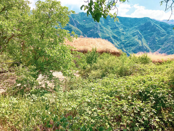 Monastery of Alen king in village Nerka qrder, Harzhis , Syunik- Armenia