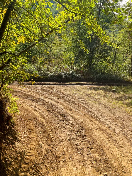 Paysage Rural Tropical Avec Magnifiques Rizières Forêts Routes — Photo