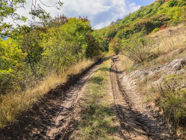 Güzel pirinç tarlaları, orman ve yolları olan tropik kırsal bölge.