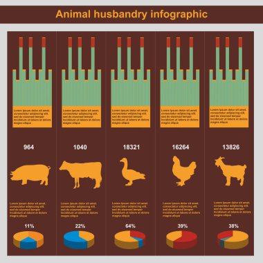 Hayvancılık bilgileri, tarım, vektör, düz tasarım, elementler