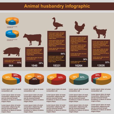 Hayvancılık bilgileri, tarım, vektör, düz tasarım, elementler