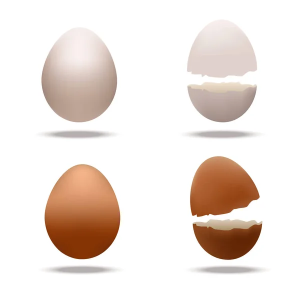 白を基調とした卵 卵殻のイラスト — ストックベクタ