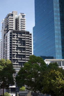 Etrafı ağaçlarla çevrili şehir binaları.