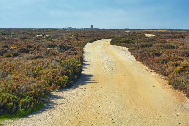 Punta entinas doğa koruma alanındaki Cerrillos kulesine giden yol.