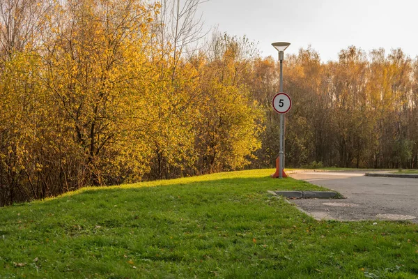 Road sign near a lantern on a background of an autumn yellow forest with the number pa, autumn meadow, green grass bright sunlight asphalt road in the shade
