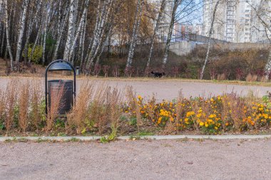 Şehir parkındaki bir çöp tenekesi, yeşil çimenlikte metalden yapılmış bir çöp tenekesi, açık doğada huş ağacının arka planına karşı, öğleden sonra güneşli bir havada, refah kavramı