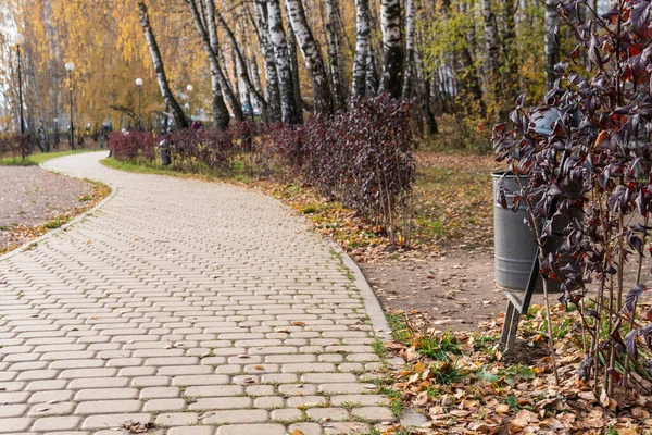 Papelera en el parque, papelera de metal en el césped en la naturaleza abierta contra el fondo de abedul, por la tarde en el concepto de clima soleado de comparación — Foto de Stock