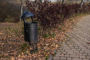 Parktaki çöp tenekesi, yeşil çimlerde metalden yapılmış çöp tenekesi huş ağacının arka planında, öğleden sonra güneşli havada Webinar aktivitesi konsepti.