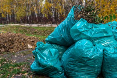 Sonbahar ormanındaki açık hava parkındaki çöp torbaları parktaki yapraklar bir yığın halinde toplanır.