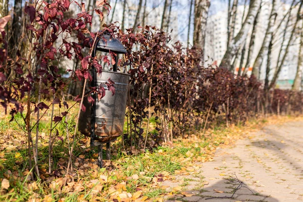 Papelera en un parque de la ciudad, un bote de basura hecho de metal en hierba verde en una naturaleza abierta cerca de un camino de piedras, por la tarde en el concepto de clima soleado de comparación — Foto de Stock